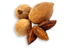 triphala-triphala