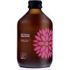 Vigo BIO kombucha mango a maracuja, 330 ml