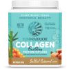 Sunwarrior Collagen Building Protein Peptides, Vegan, Slaný karamel, 500 g