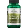 Swanson Boswellia Full Spectrum, 800 mg, 60 kapslí