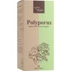 Serafin Polyporus s Jitrocelem, 40% polysacharidů, 90 kapslí