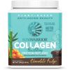 Sunwarrior Collagen Building Protein Peptides, Vegan, Čokoláda, 500 g