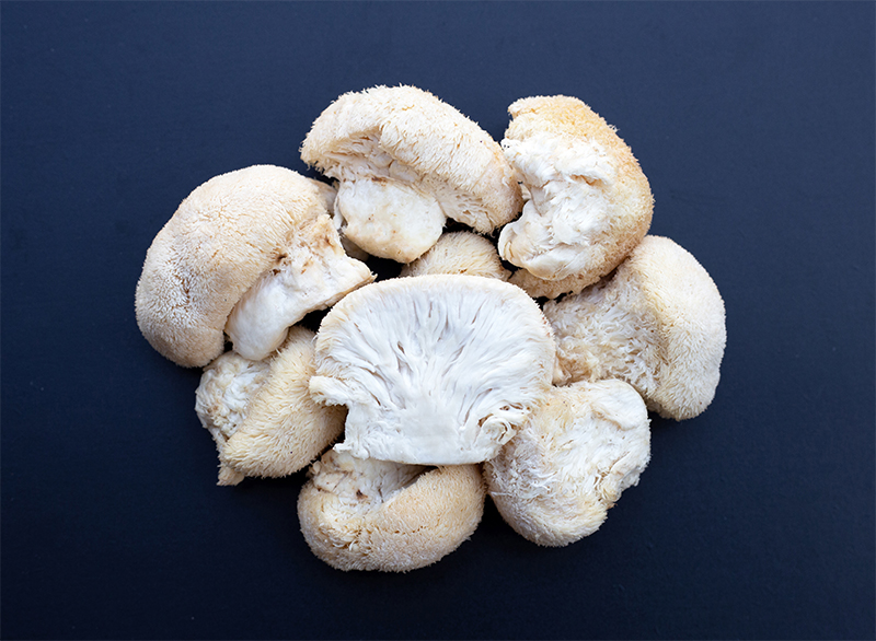 Grzyb Lion's Mane: Naturalny cud neurologiczny?