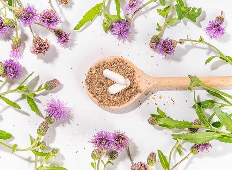 Ostropest – ratunek nie tylko dla Twojej wątroby