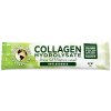 Great Lakes Collagen Hydrolysate, Hydrolizowany kolagen bez smaku, 10 x 6 g