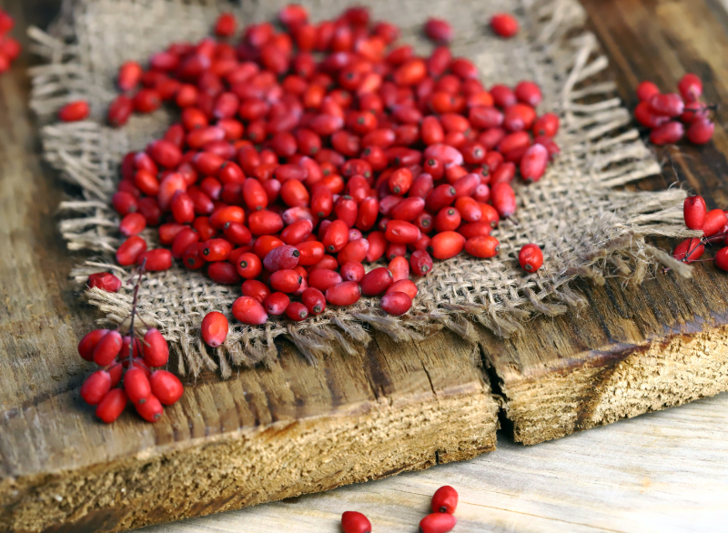 Berberín: účinky, dávkovanie, vedľajšie účinky a ako ho užívať