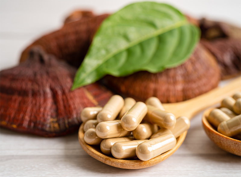 Prečo sa Reishi prezýva huba nesmrteľnosti?