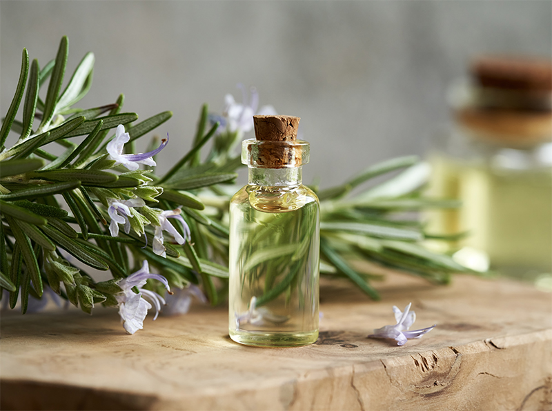 Rozmarínový olej na vlasy: Aké má účinky a ako ho správne aplikovať?
