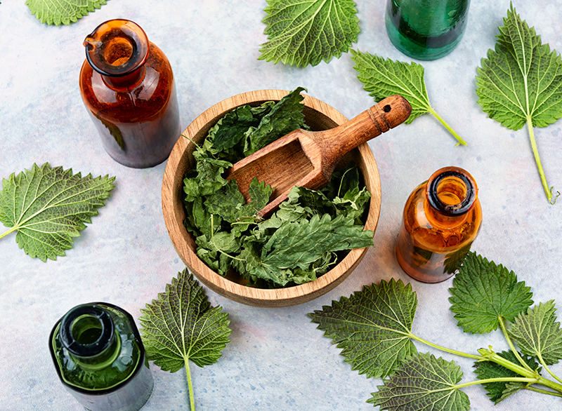 Sila žihľavy: Detoxikácia, imunita a zdravé vlasy