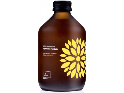 Vigo BIO kombucha kurkuma a zázvor, 330ml