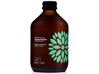 Vigo BIO kombucha uhorka a koriander, 330ml