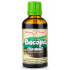 Bylinné kapky Bakopa (Bacopa - Bráhmí) - tinktúra, 50 ml