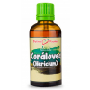 Bylinné kapky Koralovec (Hericium, Lion's Mane) - tinktúra, 50 ml