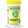Sunwarrior Probiotics, Probiotiká s prebiotikami, 10 miliárd CFU, 30 vegan kapsúl