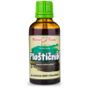 Bylinné kapky Ploštičník, prírodný estriol – tinktúra, 50 ml