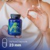 NATIOS Maca Extract, 5000 mg, Extra Strength, 90 veganských kapslí SK