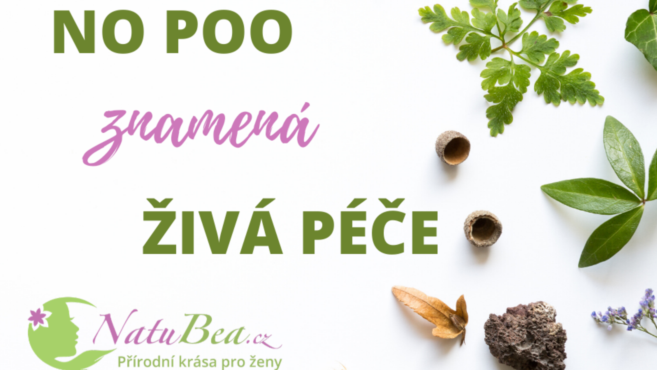 Revoluce v no poo: České bylinky pro živou péči