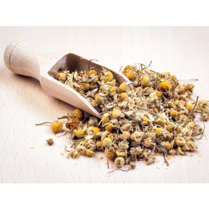 Heřmánek natubea