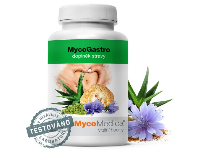 mycogastro detail s razitkem 3.3478291057