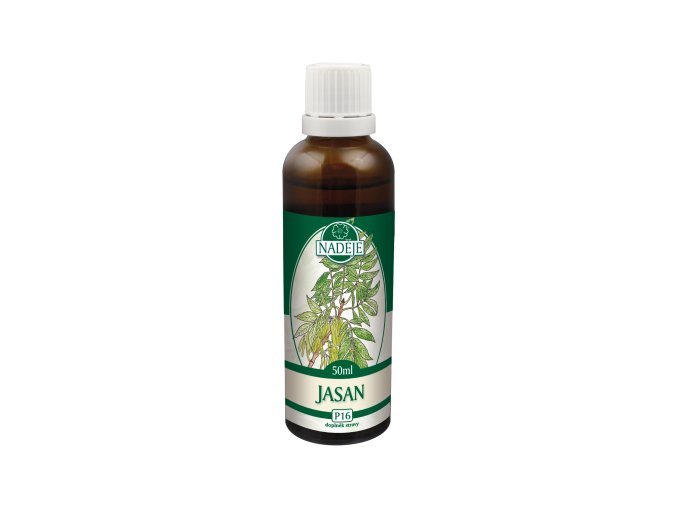 Jasan