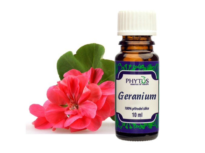 Geranium