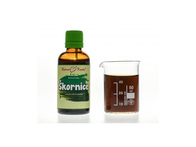 Škornice