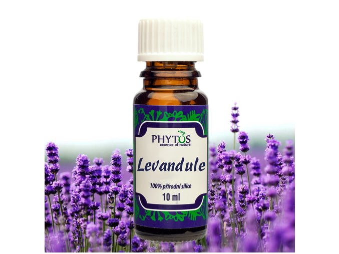 Levandule