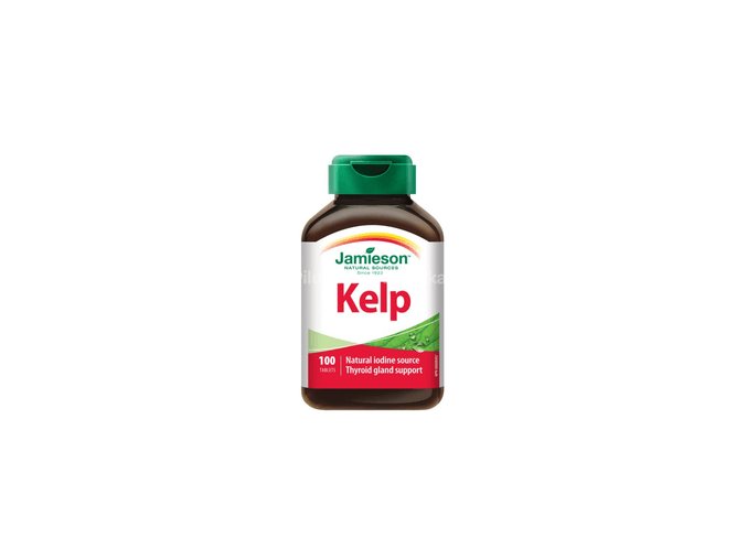 Kelp