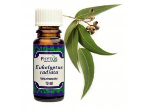 Eukalyptus radiata