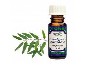 Eukalyptus citriodora