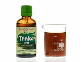 trnka kvet bylinne kapky tinktura 50 ml