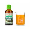 lesklokorka reishi tcm bylinne kapky tinktura z lesklokorky 50 ml