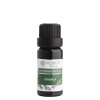 e0040b citronela 10 ml 8595100202208 1739800946