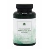G&G Vitamins - Plnospektrální aminokyseliny - 120 kapslí