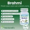 50 1 brahmi minbrahmi pamet koncentrace vyhody