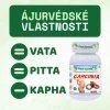 62 1 garcinia