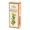 Rhodiola