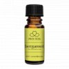 bergamot Citrus aurantium bergamia 220x220