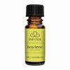 tea tree Melaleuca alternifolia 760x760
