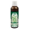 bacopa