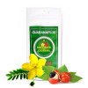 kotvicnik guarana powder