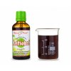 antiobst bylinne kapky tinktura 50 ml