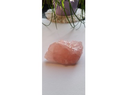 RŮŽENÍN SUROVÝ 110g