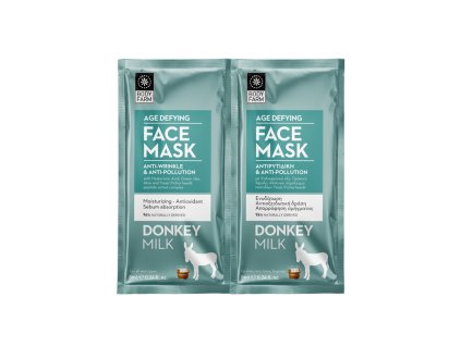 02027 face mask