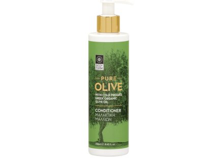 31009 HAIR CONDITIONER 250ml 1