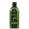 000491 Olivolio Botanics Šampón na vlasy pre suché a poškodené vlasy s konopným olejom