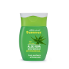000477 all about summer aloe