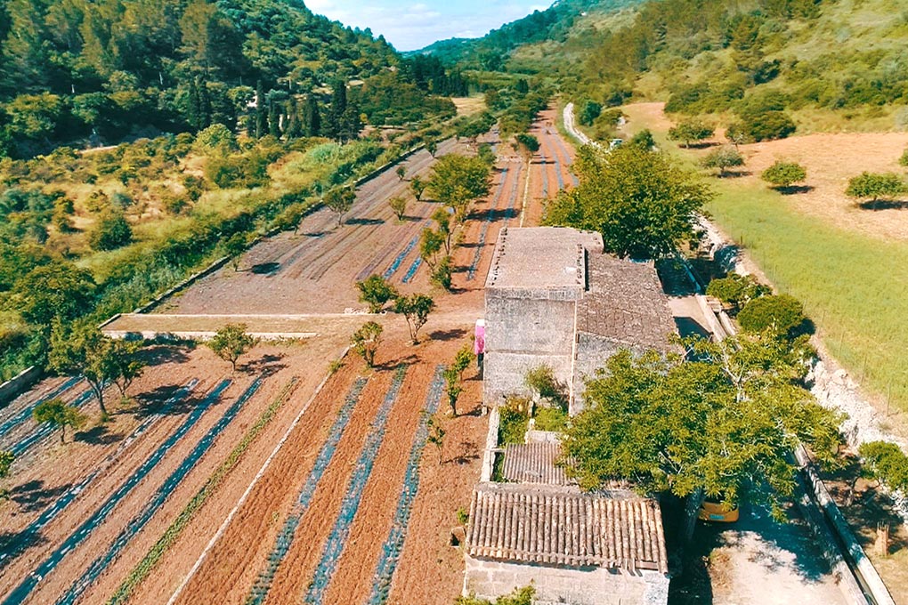 Objevte autentickou chuť Mallorky s čaji T'Estim