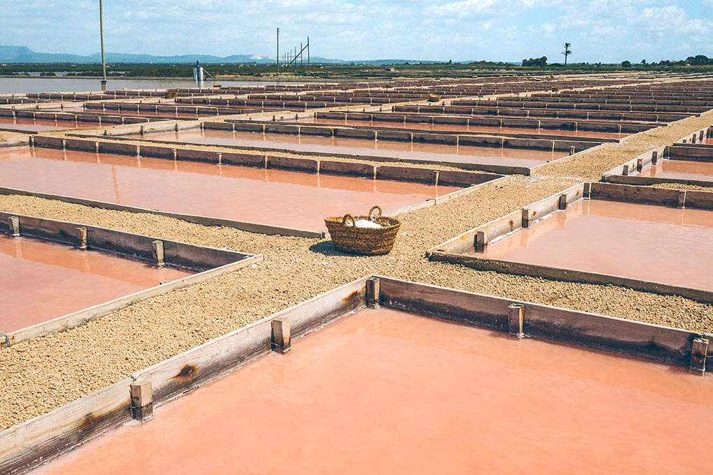 Solný květ Flor de Sal d'Es Trenc z Mallorky