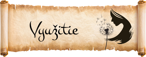 Využitie